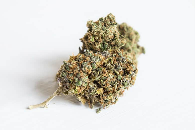marihuana-legal-Espa%C3%B1a.jpg